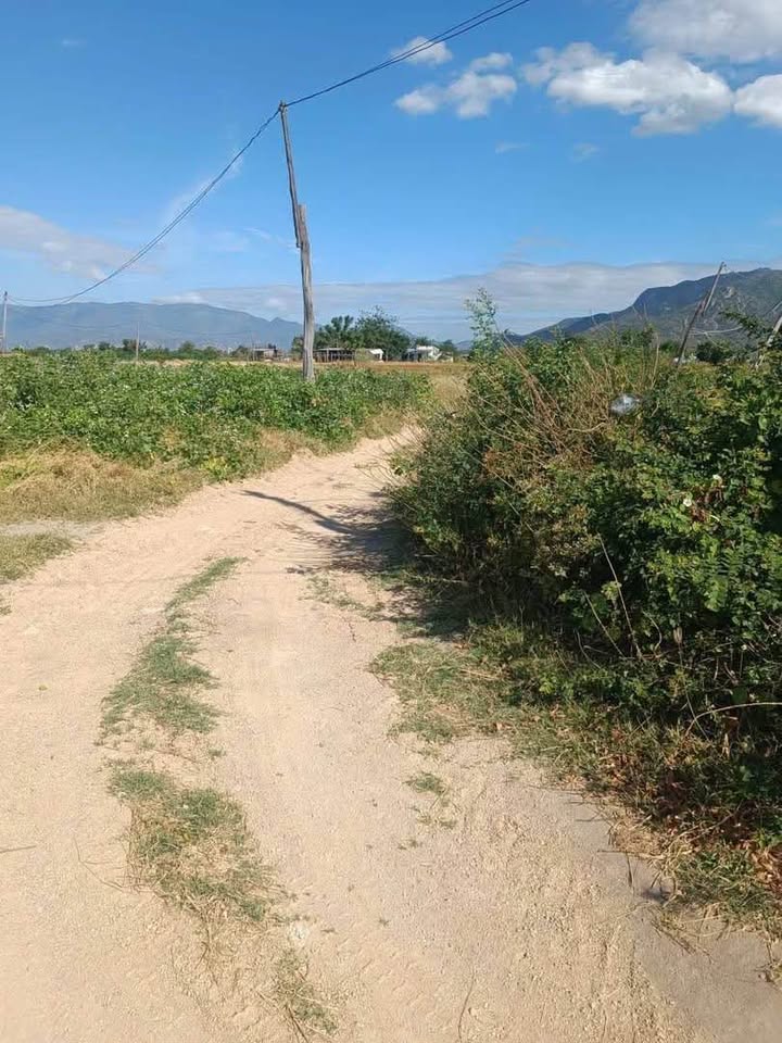 Đất nông nghiệp thôn Khánh Tân 10.360m² giá 270 triệu - Cơ hội đầu tư hấp dẫn!