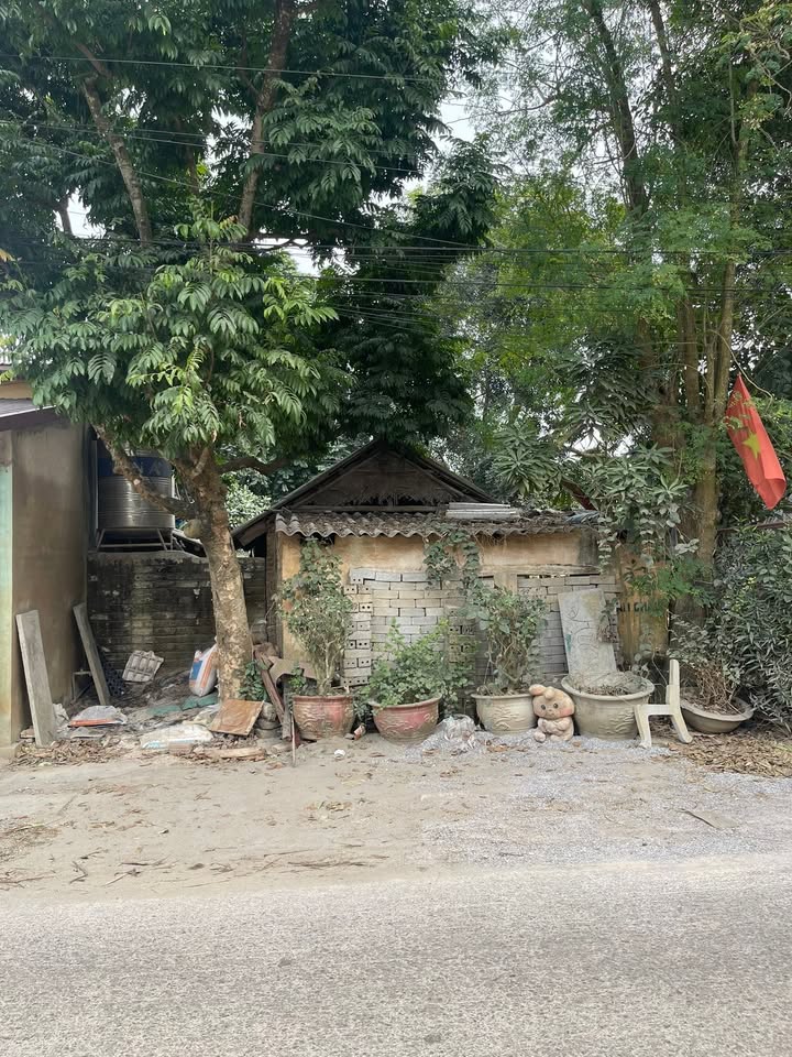 Đất nền Tổ dân phố Tân An, thị trấn Bố Hạ, 211m² - Cơ hội đầu tư hấp dẫn!