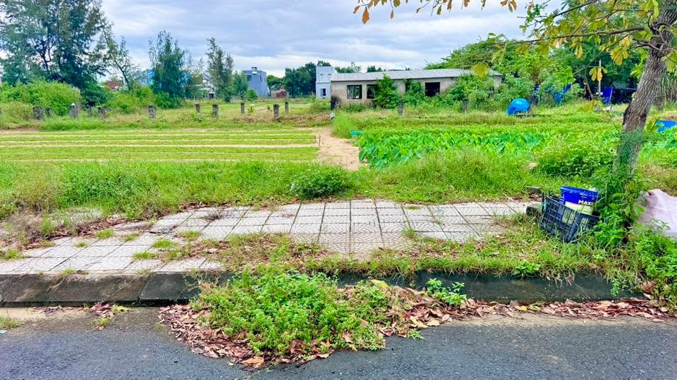 Đất đô thị Viêm Minh Hà Dừa Đà Nẵng 80m² giá 2.33 tỷ - Cơ hội đầu tư tuyệt vời!