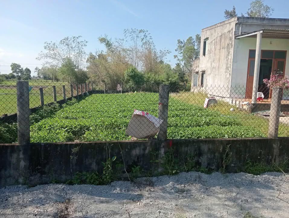 Đất nền Block 2, Xã Bình Dương, 156m² - Đầu tư hấp dẫn gần biển!