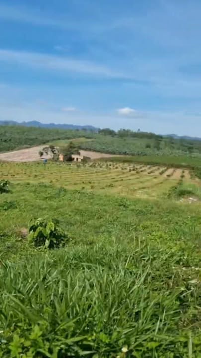 Farm 50000m² tại Thôn 7 Lộc Quảng giá 11.7 tỷ - Đầu tư sinh lời ngay!