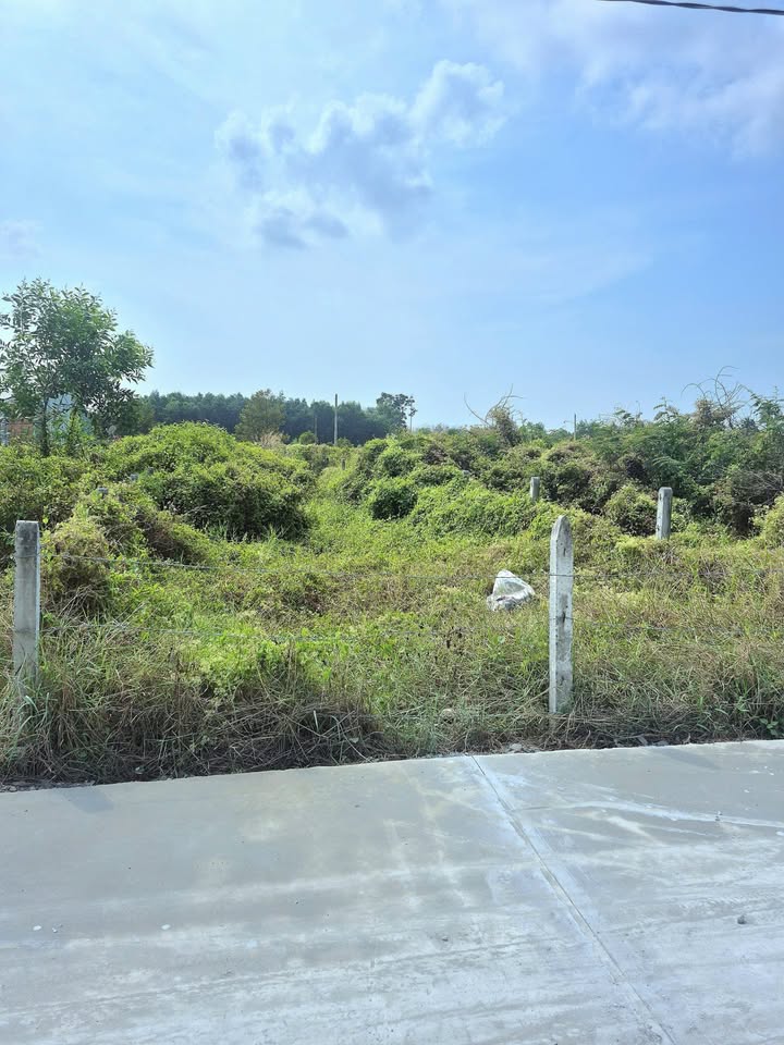 Đất nền 131m² tại Hiệp Thạnh, Gò Dầu - Pháp lý rõ ràng, thuận tiện di chuyển!