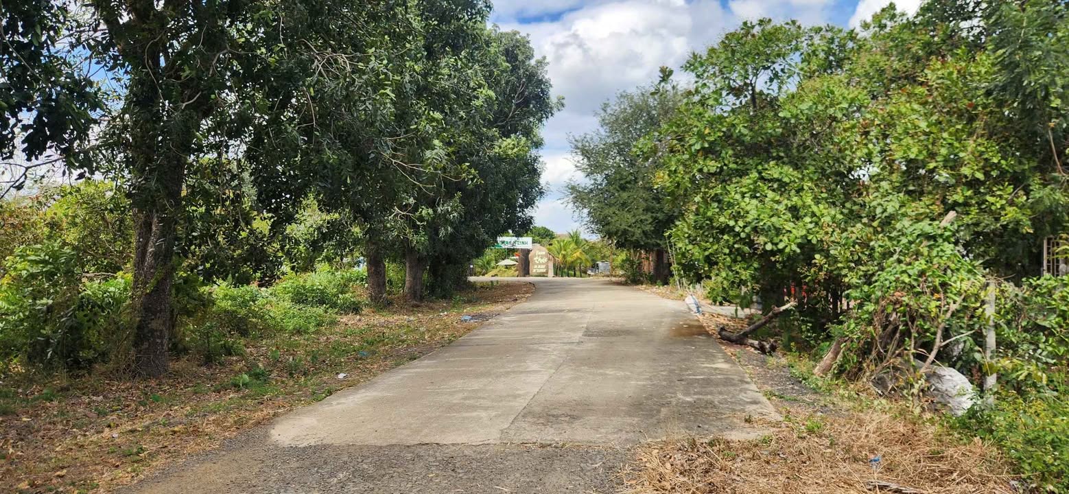 Đất 2 mặt tiền Hòa Phú 1.908m² giá 124.02 tỷ - Tiềm năng đầu tư lớn!