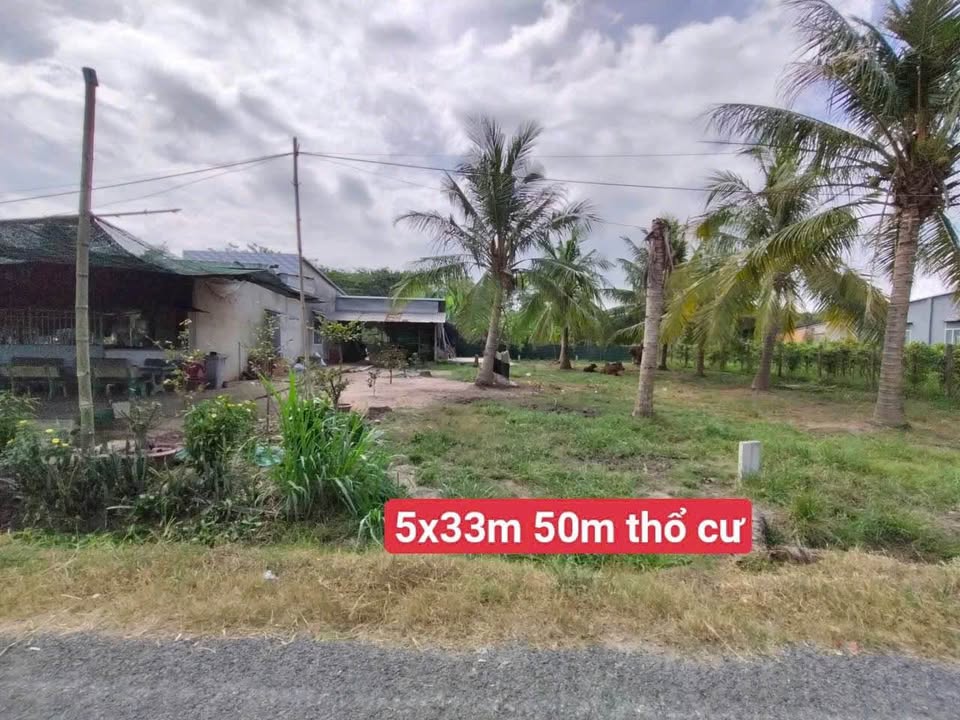 Đất thổ cư 160m² tại Gia Lộc, Trảng Bàng, Tây Ninh giá chỉ 770 triệu - Cơ hội đầu tư hấp dẫn!