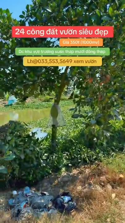 Lô đất Farm Trường Xuân 24000m² giá 840 triệu - Đầu tư sinh lời nhanh chóng!