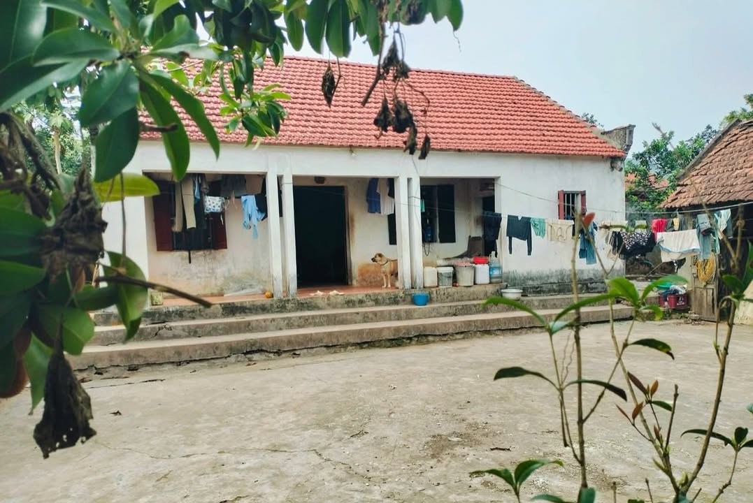 Đất thổ cư 5000m² tại Yên Phụ, Bắc Ninh - Giá chỉ 2 tỷ, sẵn nhà cấp 4!