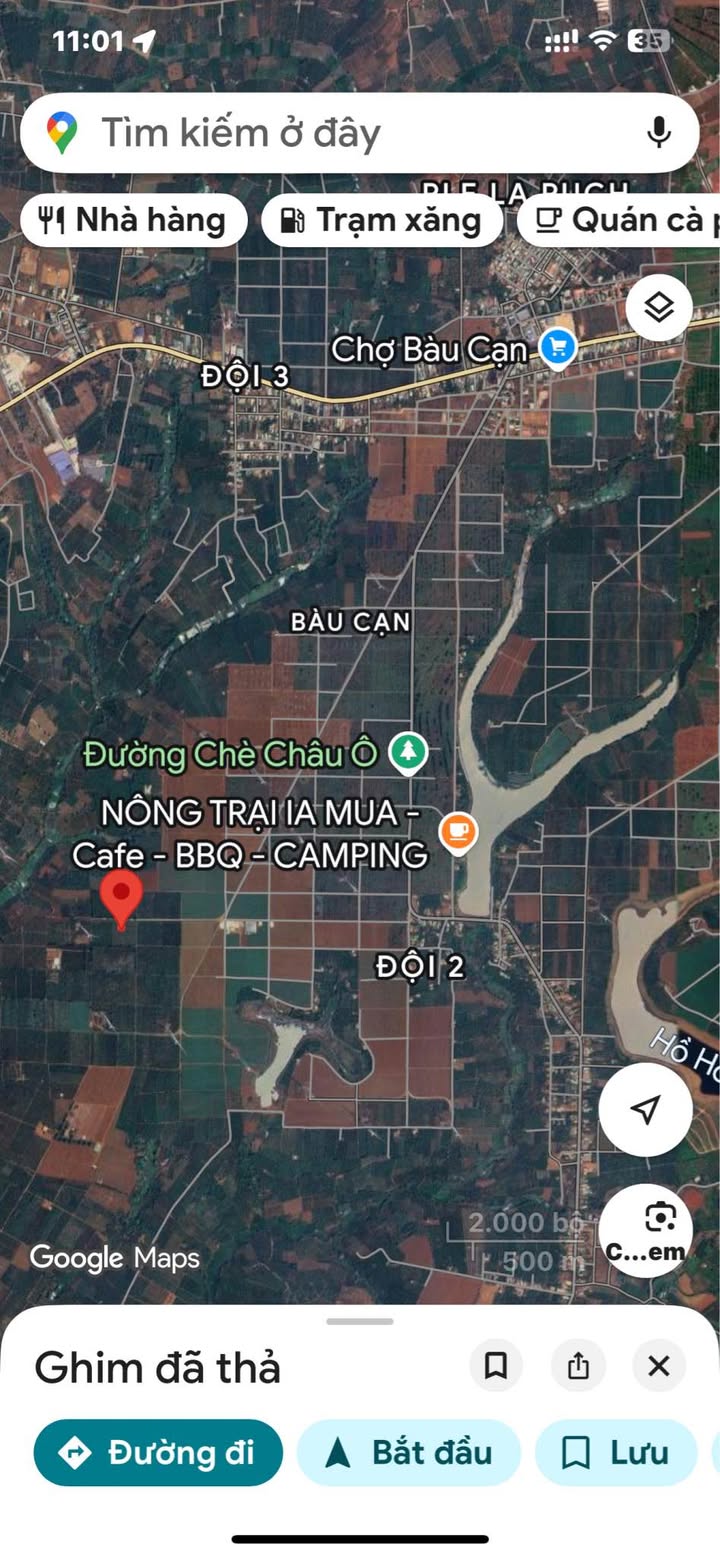 Farm tại Xã Bàu Cạn, Huyện Chư Prông, 24000m² - Cà phê đẹp và giá tốt!