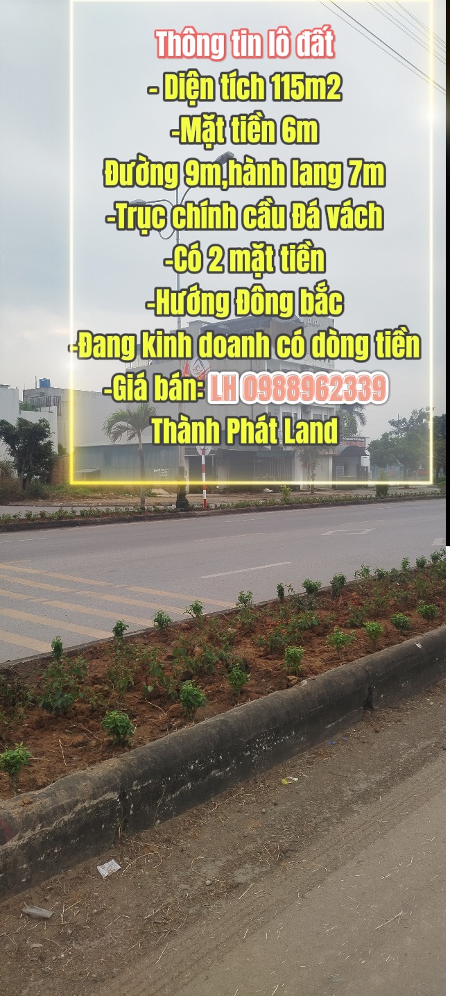 Bán Đất Lô Góc Mạo Khê 115m² - Mặt Tiền Kinh Doanh Đắc Địa