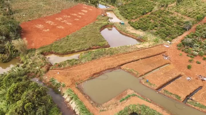 Bán Gấp 1.4Ha Đất Vườn Tuy Đức - 700 Cây Cafe Kinh Doanh, Bám Suối Lớn