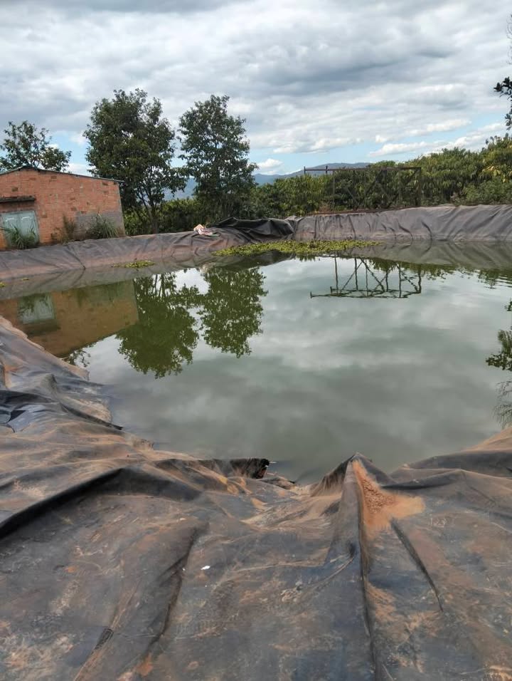 Đất Farm 38.000m² tại Thị trấn Ia Kha, Huyện Ia Grai giá 7 tỷ - Đầy đủ điện nước