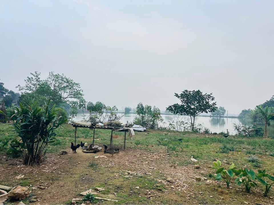 Đất Farm view hồ tại Tu Vũ, Thanh Thủy, Phú Thọ - Diện tích 800m² giá thỏa thuận!