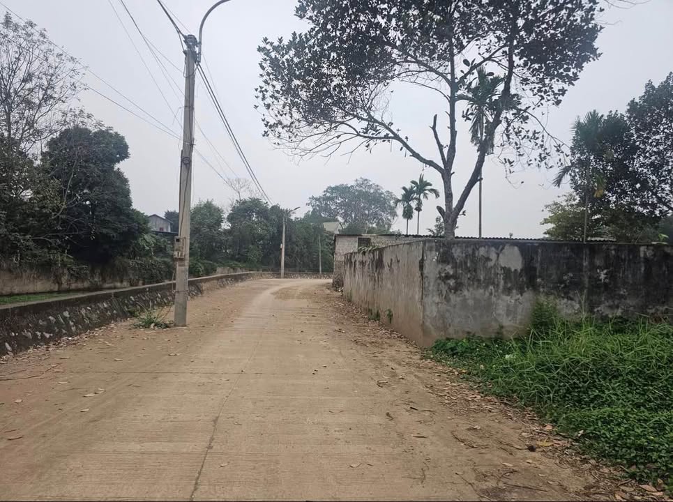 Đất thổ cư phường Thống Nhất 304m² giá 2 tỷ - Đầu tư sinh lời tiềm năng!