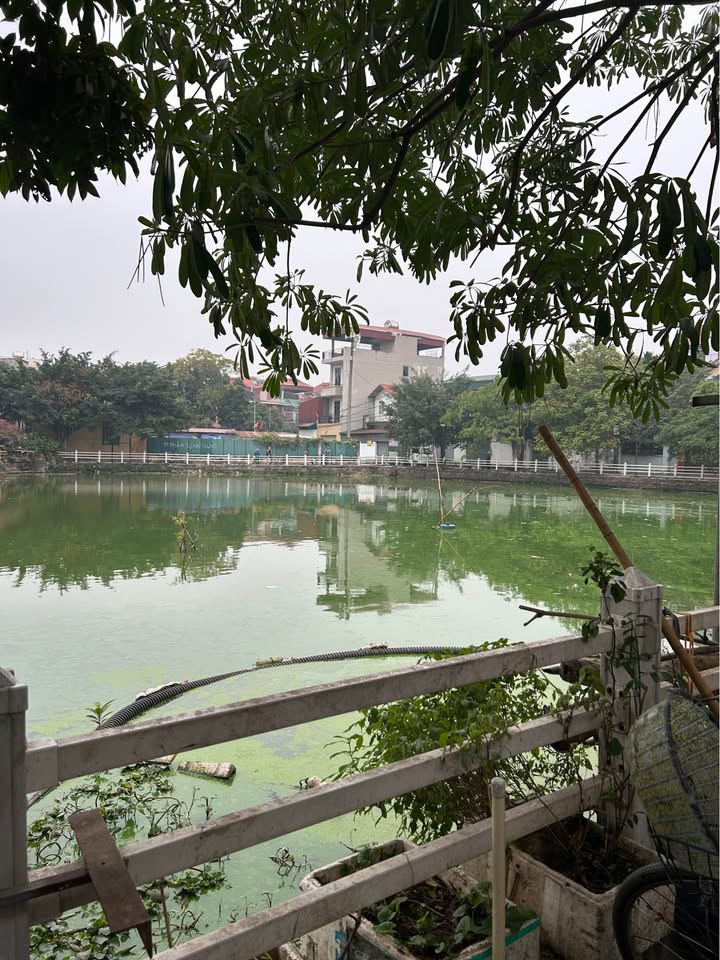 Đất Phù Chẩn, Từ Sơn 40m² giá 1.8 tỷ - Đầu tư sinh lời bền vững!