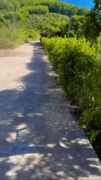 Đất nền chính chủ tại Đường tỉnh lộ 289, Lục Ngạn, 270m² giá chỉ từ 500 triệu