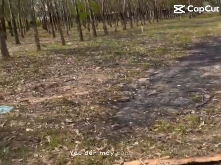 Đất nền Trảng Bàng, Tây Ninh 510m² giá 800 triệu - Cơ hội đầu tư tiềm năng!