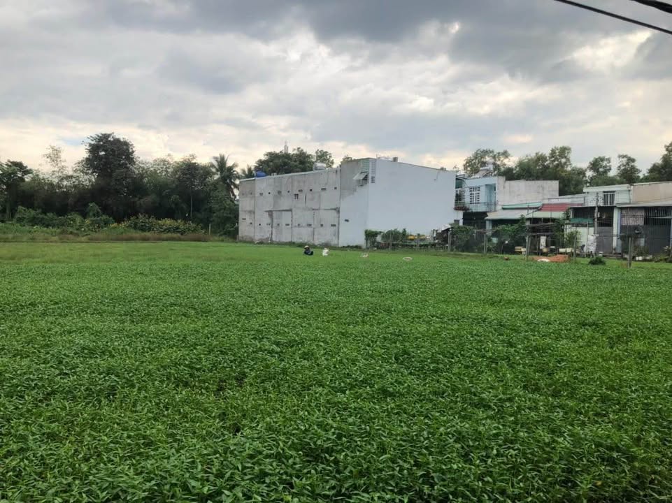 Đất vườn 3000m² tại Bình Mỹ, Củ Chi - View sông Sài Gòn tuyệt đẹp!