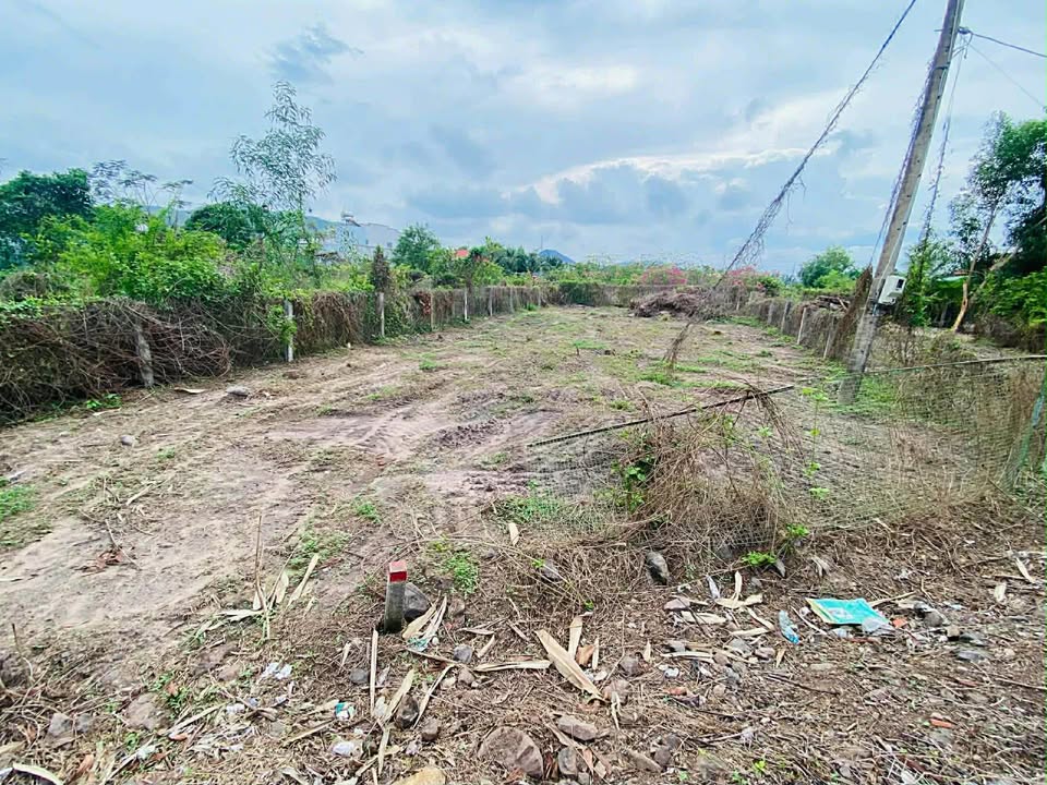 Đất thổ cư Phước Hải - Huyện Long Đất 137,1m² giá 1.199 tỷ - Cơ hội đầu tư hấp dẫn!