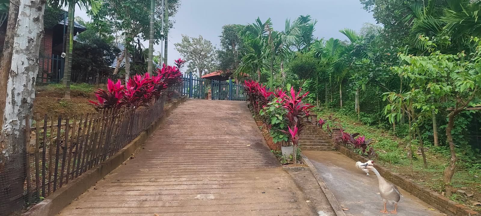 Đất liền kề Đồi Truyền Hình An Phú 460m² giá 1.x tỷ - Phong thủy tuyệt vời!