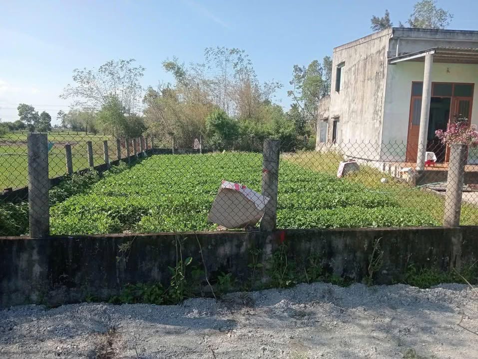 Đất nền Block 2 Xã Bình Dương 156m² giá thỏa thuận - Gần biển và chợ Lạc Câu!