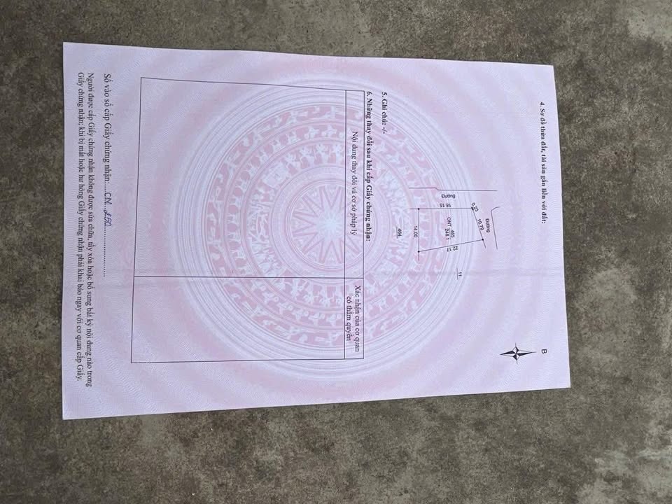 Đất nền xã Thanh Giang 248m² giá thỏa thuận - Sổ hồng chính chủ!