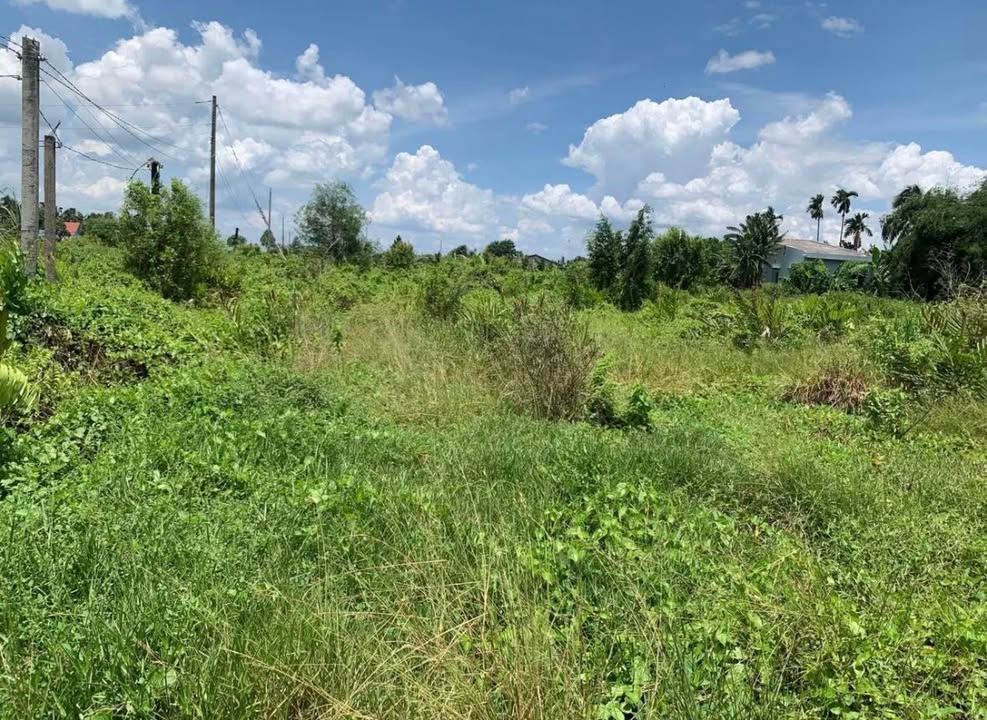 Đất nền 2 lô liền kề tại Ấp 4, Phước Tân Hưng, Châu Thành, Long An - Giá tốt, thương lượng!