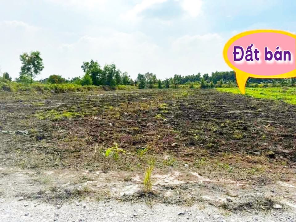 Đất vườn 1000m² mặt tiền đường Năm Liệt, Bến Lức chỉ 1.285 tỷ - Đầu tư sinh lời!