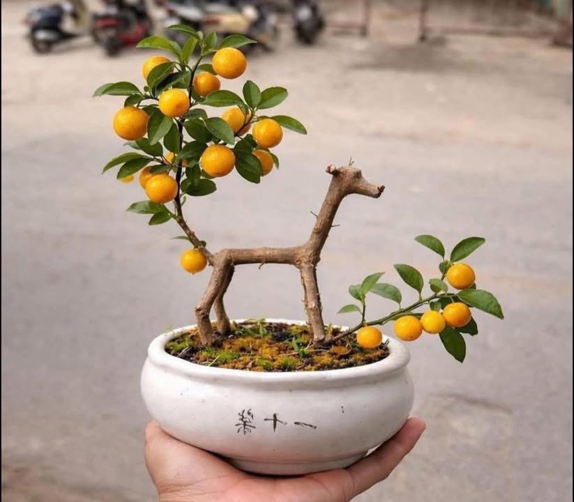 Lô đất Xã Hy Cương, Việt Trì 100m² giá 2.9 tỷ - Đầu tư sinh lời ngay!