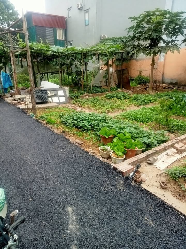 Đất nền Dục Tú Đông Anh 40m² giá 3 tỷ - Đầu tư sinh lời ngay!