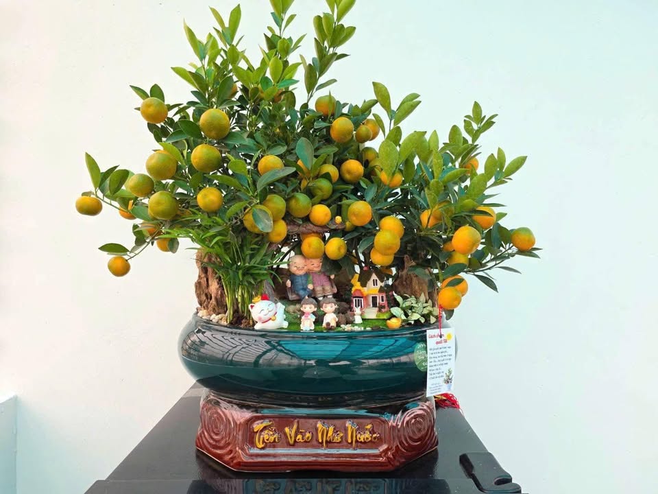 Căn hộ Vinhomes Gardenia Nam Từ Liêm 125m² giá thỏa thuận - Đầy đủ nội thất mới!