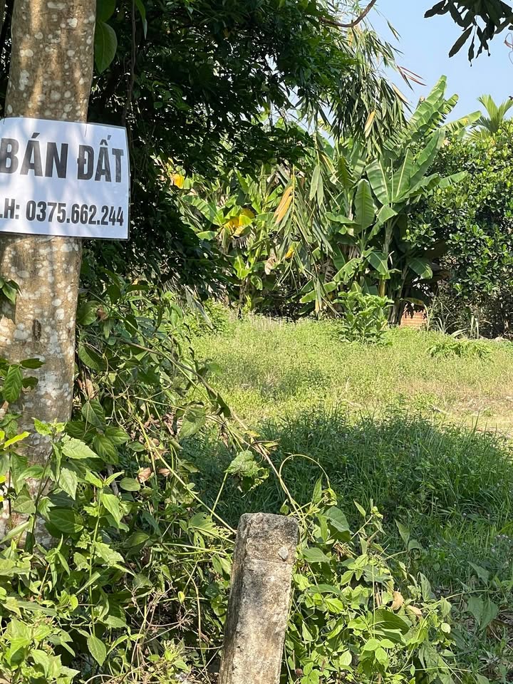 Đất nền Đa Kai, Đức Linh 560m² giá thỏa thuận - Sổ đỏ chính chủ, vị trí tiềm năng!