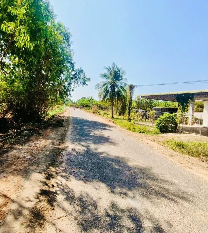 Đất thổ cư 1000m² đường nhựa tại Xã Phước Vinh, giá 189 triệu - Cơ hội đầu tư hấp dẫn!