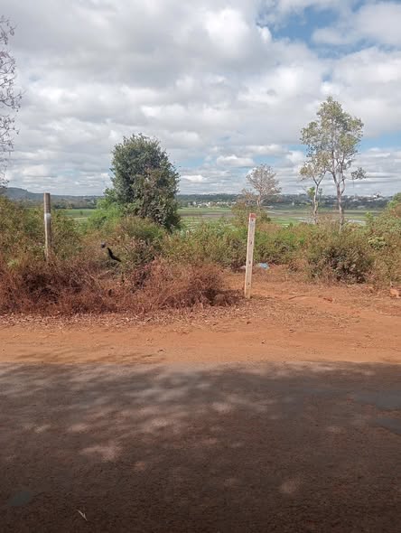 Bán gấp FrontHouse mặt tiền Trương Định, Phường An Phú, 260m² chỉ 500 triệu - Đầu tư sinh lời ngay!