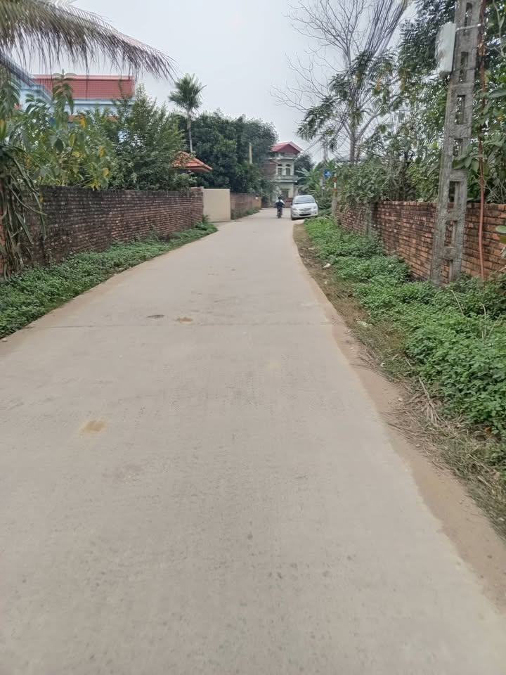 Đất nền 360m² Xã Song Phương, Huyện Hoài Đức - Sổ hồng chính chủ, giá chỉ 1.62 tỷ!