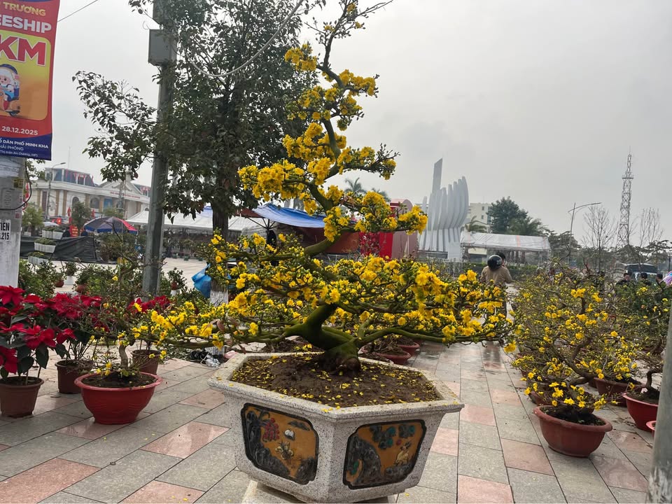 Đất nền TDP Ngọ Dương, phường Hồng Phong 72m² - Vị trí đẹp, sẵn sàng đầu tư!