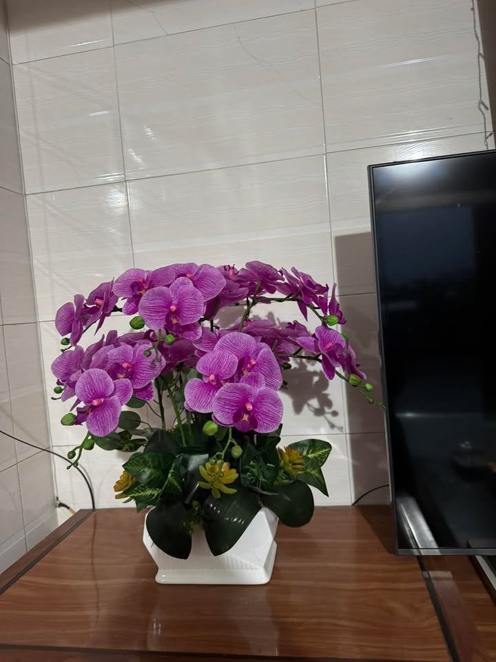 Đất nền khối 10 Thị trấn Xuân An 144,7m² giá 1 tỷ - Cơ hội đầu tư tuyệt vời!