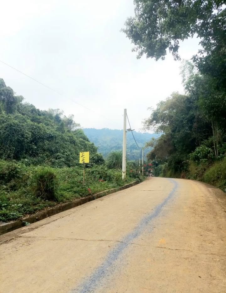 Đất nền Phường Nam Cường 80m² giá 800 triệu - Sổ đỏ chính chủ ngay!