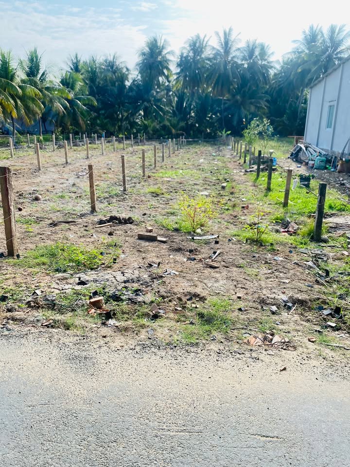 Đất nền 200m² tại Bình Ninh, Chợ Gạo giá 420 triệu - Cơ hội đầu tư tuyệt vời!