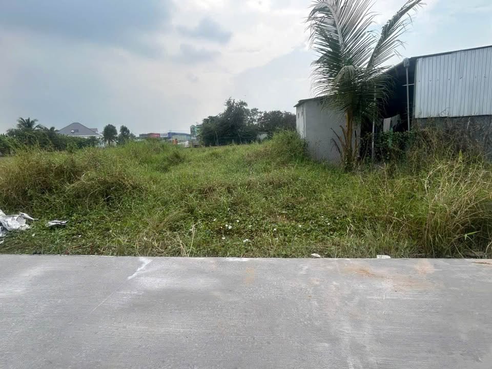 Đất nền Xã Ngũ Hiệp, Huyện Cai Lậy - 75m² chỉ 299 triệu - Sổ đỏ chính chủ