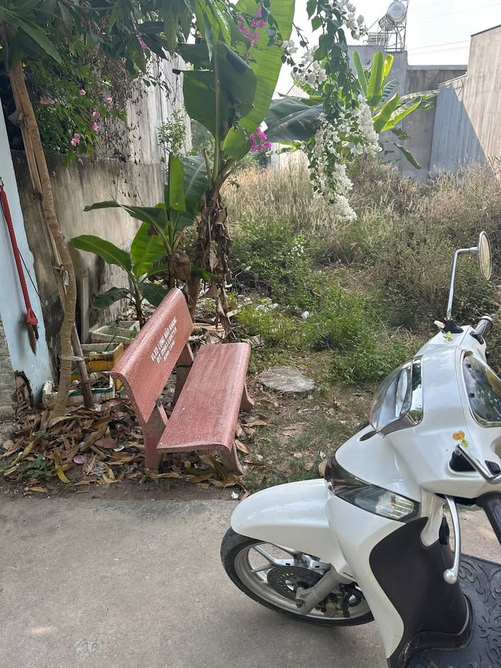 Đất thổ cư 100m² đường Vành Đai Dĩ An - Giá chỉ 1.59 tỷ!