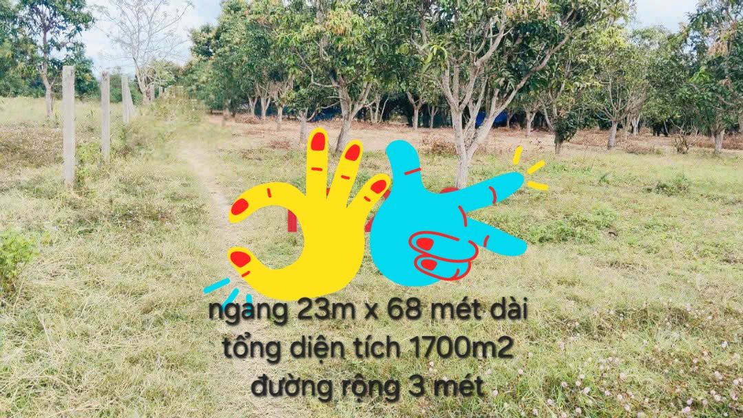 Đất nền 1700m² tại Thị trấn Cam Đức - Giá 850 triệu - Cơ hội đầu tư tốt!