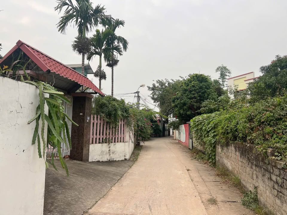 Đất nền dự án Lam Sơn, Bắc Ninh 74m² giá chỉ 2 tỷ - Đầu tư sinh lời cực tốt!