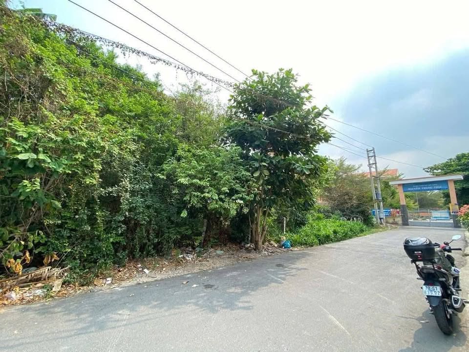 Đất nền Hòa Thành 160m² giá 1.2 tỷ - Sổ đỏ chính chủ, vị trí đẹp!