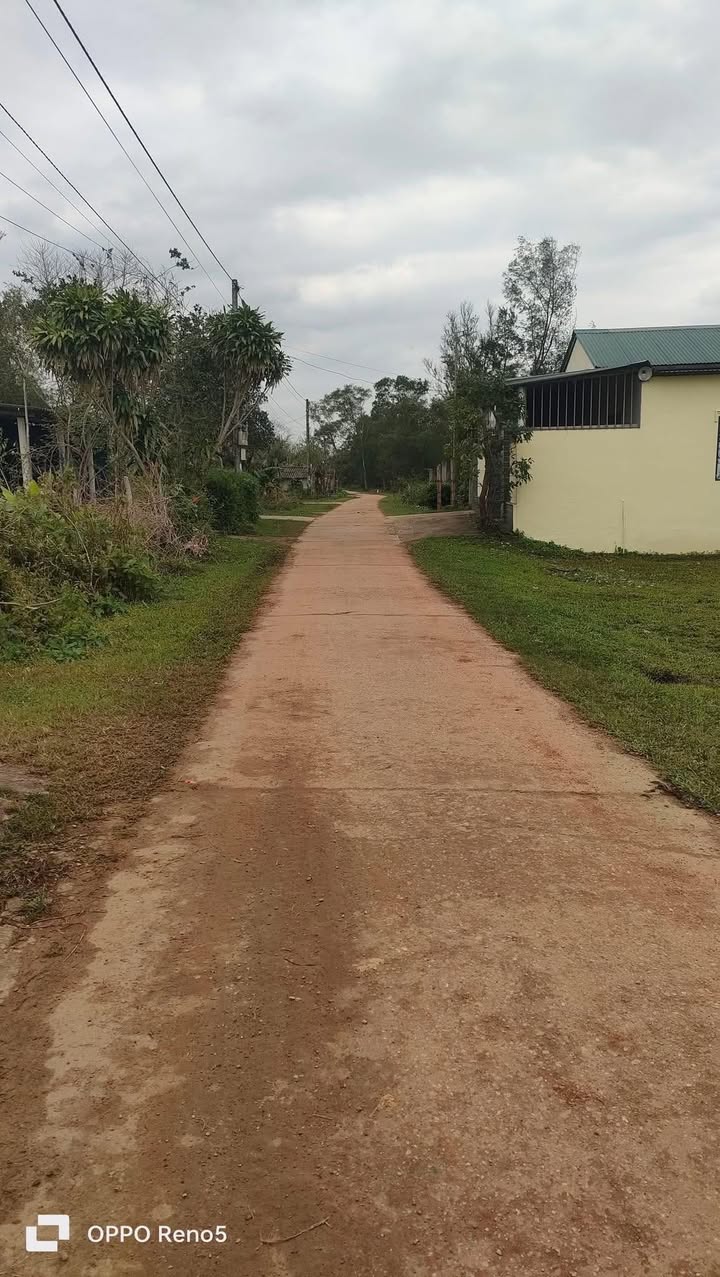 Đất nền Thôn Tứ Chính, Vĩnh Tú 184m² giá chỉ 200 triệu - Đầu tư sinh lời ngay!