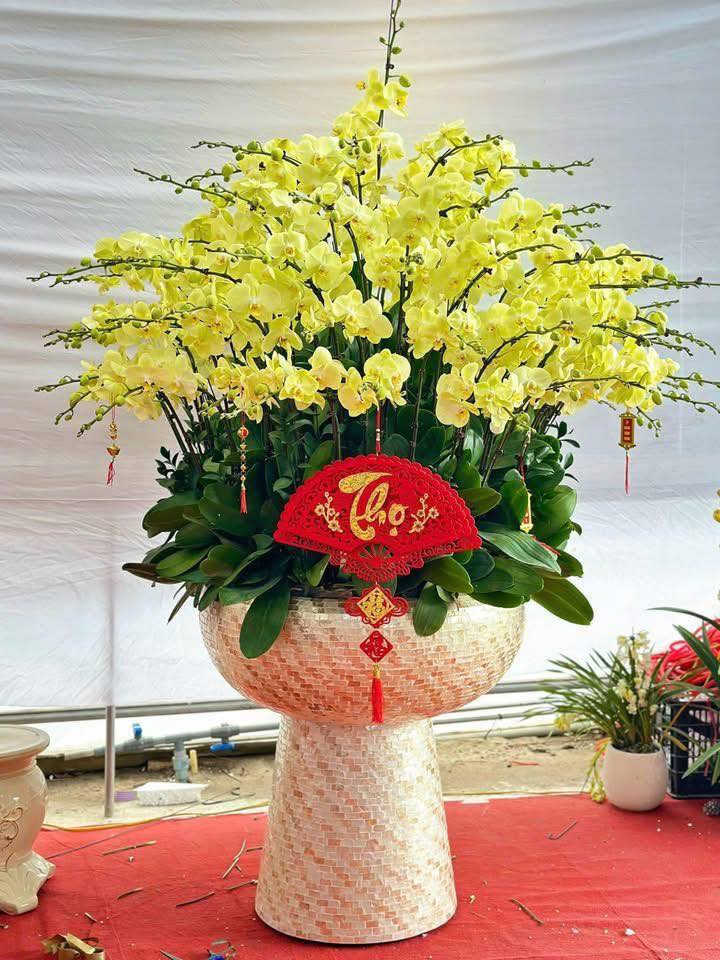 Đất nền khu hành chính Gia Viễn, Ninh Bình - 142m² giá chỉ từ 1.4 tỷ