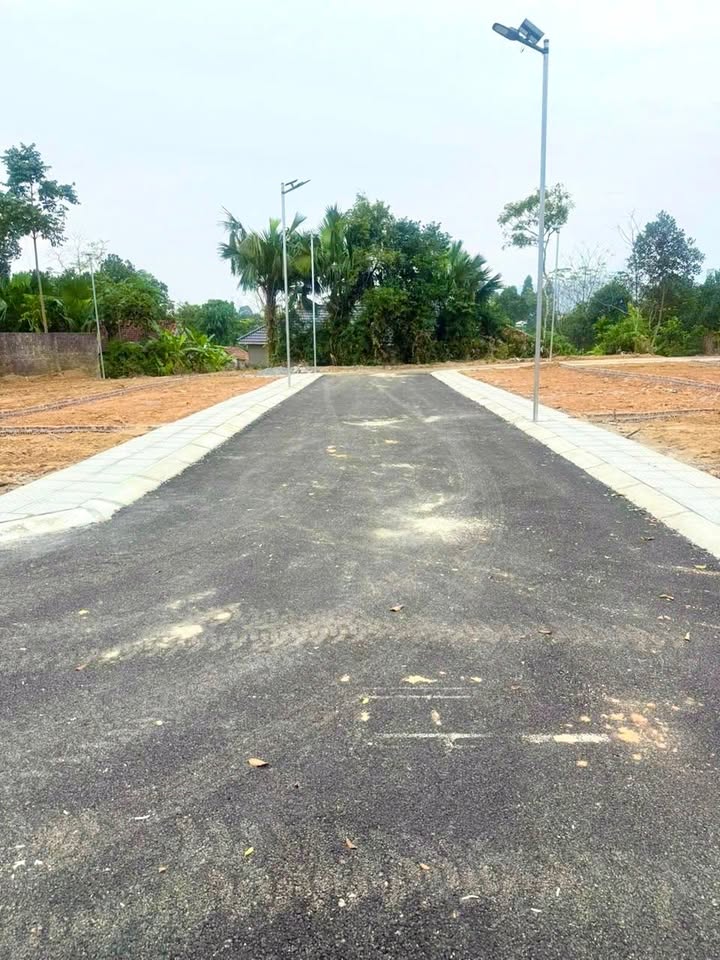 Đất thổ cư Vân Nam - Vân Trục 100m² giá chỉ 500 triệu - Đầu tư sinh lời ngay!