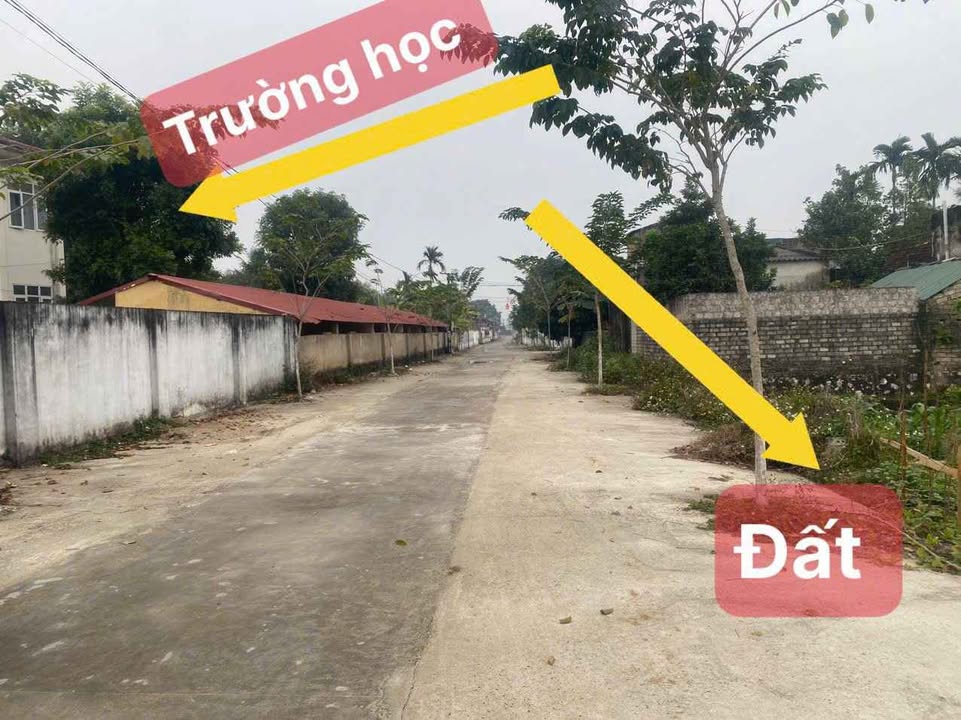 Đất nền xã Quảng Yên 113m² giá chỉ 500 triệu - Cơ hội đầu tư hấp dẫn!