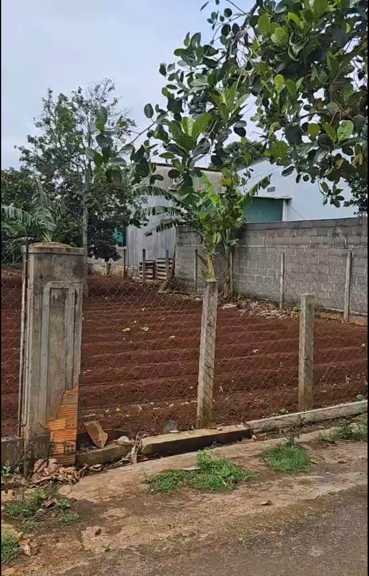 Lô đất mặt tiền đường 14A – Tân Hòa 240m² giá 16.8 tỷ - Đầu tư sinh lời cao!