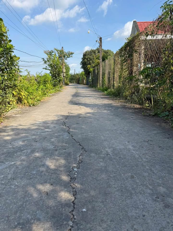 Đất lúa 1000m² tại Ấp 1, Hòa Phú, Châu Thành, Long An - Giá chỉ 1.1 tỷ!