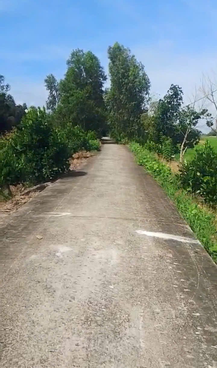 Đất nông nghiệp xã Nhơn Hòa, huyện Tân Thạnh, 44133m² giá chỉ 2.012 tỷ - Đầu tư sinh lời cao!