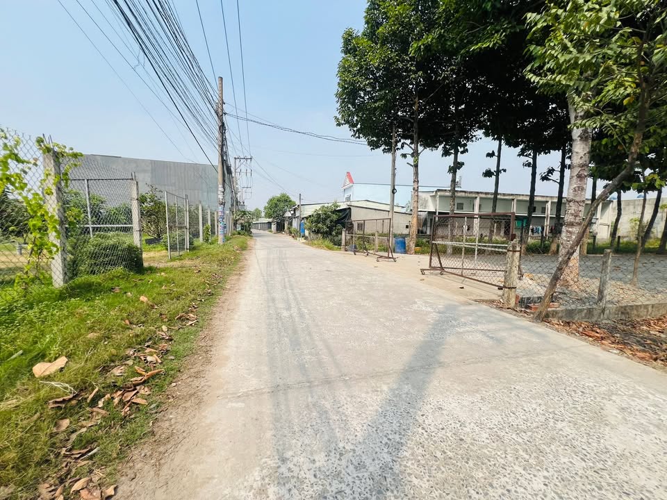 Đất nền KDC Cát Tường Phú Nguyên, Đức Hòa 130m² - Đầu tư sinh lời ngay!